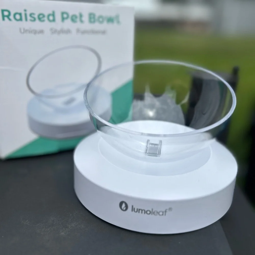 Clear Raised Pet Bowl new in box